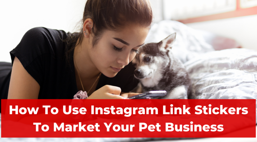 How To Use Instagram Link Stickers To Market Your Pet Business
