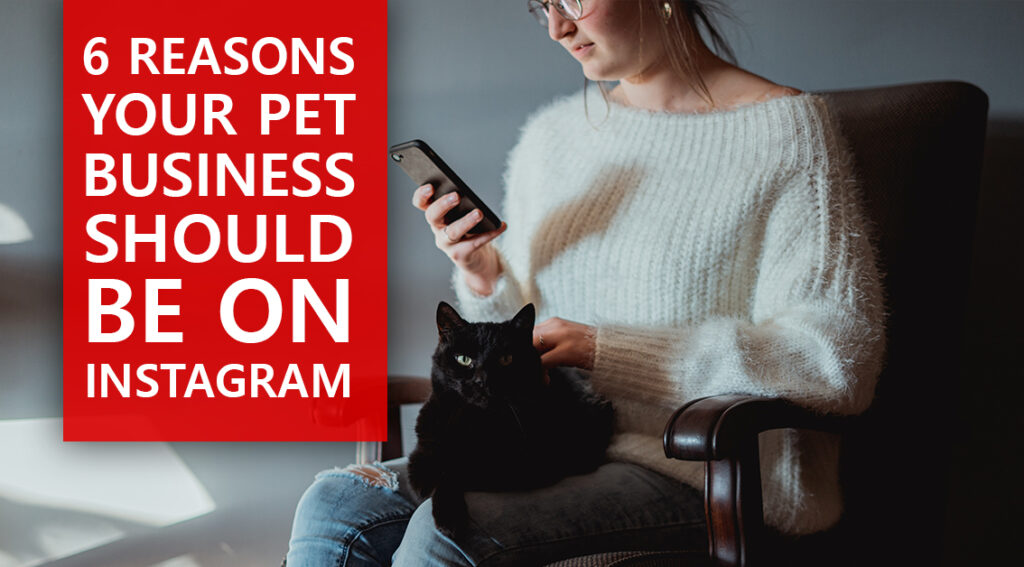 6 Reasons Your Pet Business Should Be On Instagram