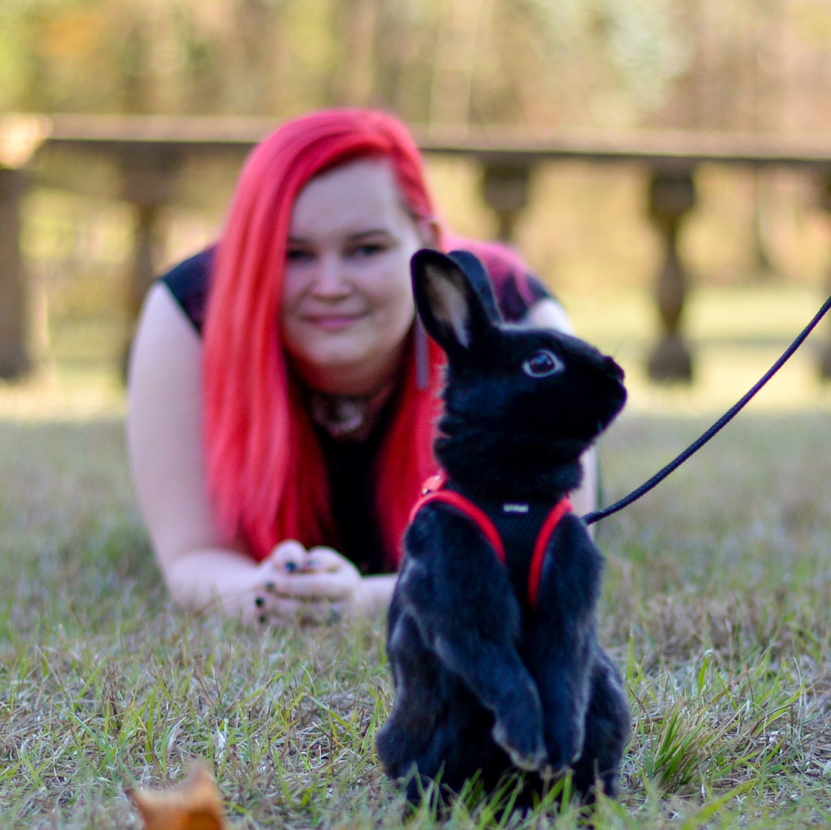 Houdini, Black Rabbit on grass in front of woman with red hair